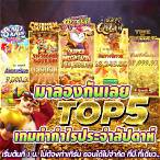 สล็อตpgทดลองเล่นฟรี